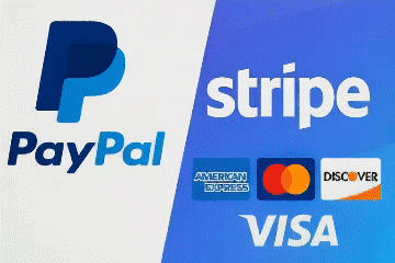 Payment Processors PayPal and Stripe